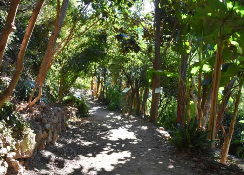 Botanical Park & Gardens of Crete